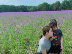 -山明水秀大饭店