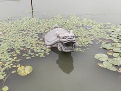 -昆山城市生态森林公园