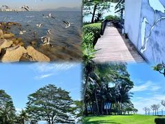 -深圳湾公园(南山区)