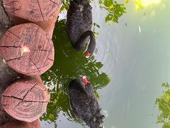 -大连老虎滩海洋公园