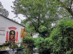 -西溪国家湿地公园