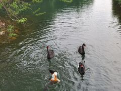 -长白岛森林公园