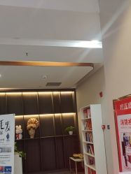 -碧莲盛·不剃发植发