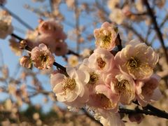 -桃花涧