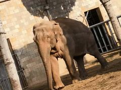 -石家庄市动物园