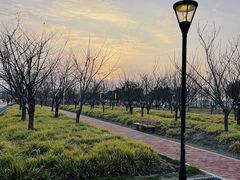 -上海山野camping·户外天幕烧烤·团建拓展营地