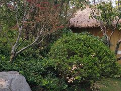 -思念果岭悦温泉