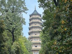 -灵谷景区