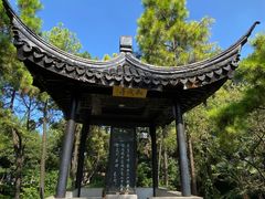 -枫桥景区