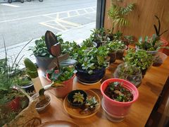 -蝦塘·中国餐馆(城墙南马道巷店)