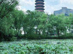 -长兴太湖图影湿地文化园