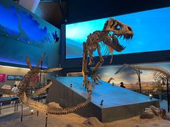 -贝林大翅鲸简餐厅(国家海洋博物馆店)