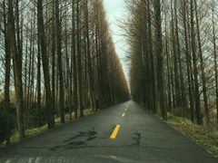 -滨海高尔夫俱乐部