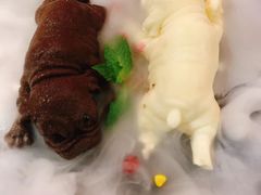 -听说碳烧蛙(高新万达店)