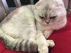 -MIKAKU(万达广场上海宝山店)