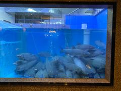 -淘米捞·米汤脆鲩鱼火锅(福田皇岗店)