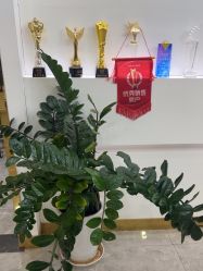 -CICI纤美·科技减肥美容