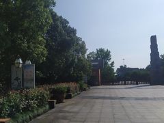 -中国扬子鳄村