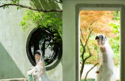 -摩玛婚纱摄影(杭州店)
