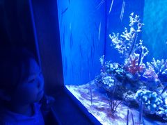 -多彩贵州城极地海洋世界