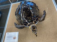 -天津古林古海岸遗迹博物馆