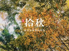 -崂山九水游览区