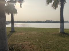-仙湖旅游度假区