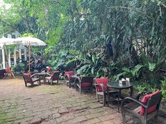 -Fern Forest Cafe
