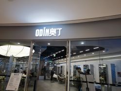 -ODIN 奥丁形象设计 