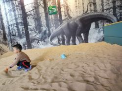 -恐龙探索乐园(磁器口店)