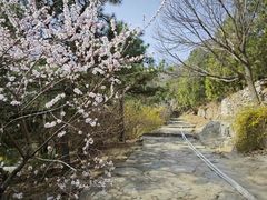 -北京鹫峰国家森林公园