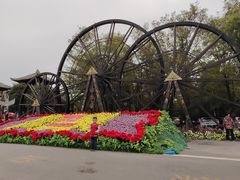 -呀路古热带植物园