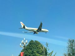 -大邑李记肥肠血旺