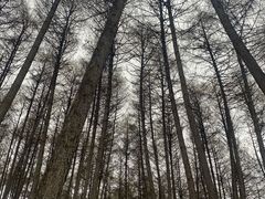 -硗碛藏寨·神木垒景区