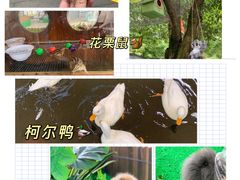 -南京海底世界