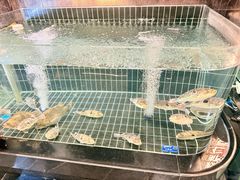 -苏淮景·苏闽融创菜·海鲜(原空港井河轩店)