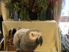 -森野花艺培训·企业团建活动沙龙