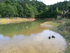 -千岛湖龙川湾