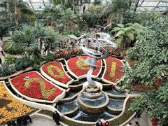 -南山植物园