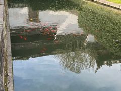 -宁波市保国寺古建筑博物馆