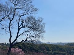 -无锡梅园公园