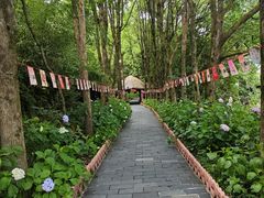 -黄山翡翠谷景区