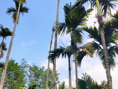 -红色娘子军纪念园