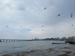-星海广场