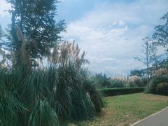 -呈贡滇池生态湿地公园