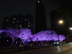 -西北湖绿化广场