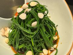 凉拌鲜沙葱-蒙料·手把肉(望京店)