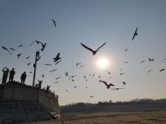 -蓬莱阁景区