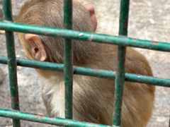 -南京金牛湖风景区