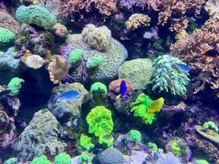 -珠海长隆海洋王国